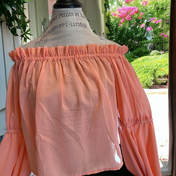 Feel beautiful in this romantic ruffled semi-sheer and feminine peach blouse - Picture 11 of 16